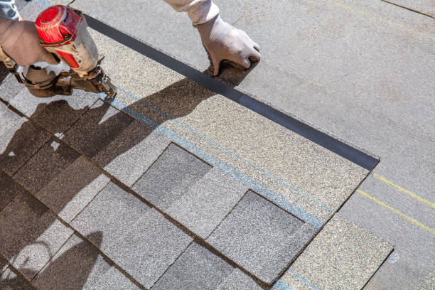 Best Gutter Installation and Roofing  in Solana, FL